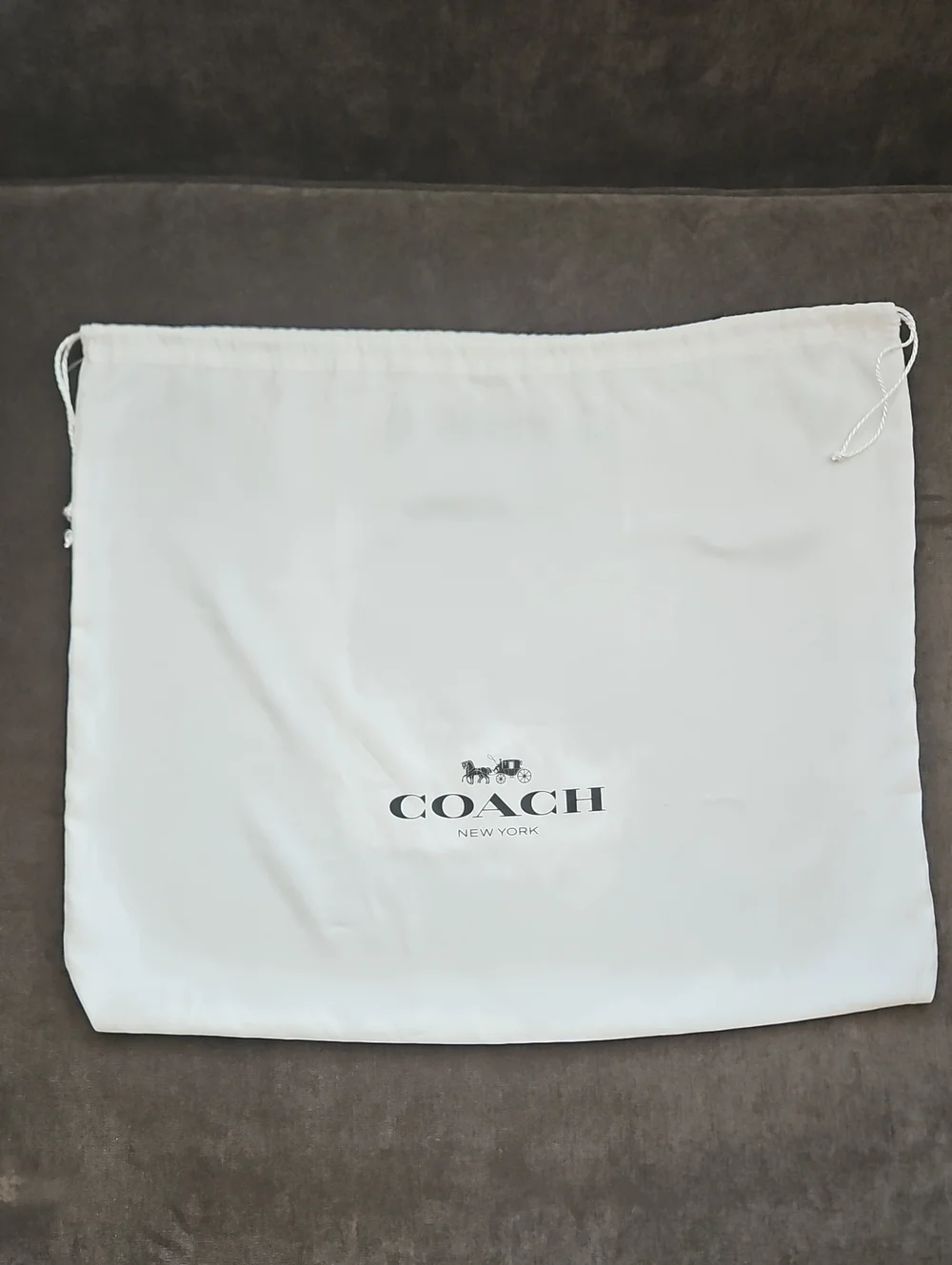 Coach Dust Bag- Large